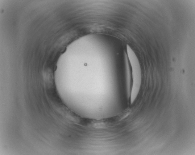 X0000071330228200607212015