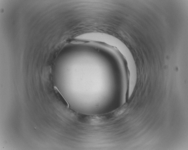 X0000071330229200607212015