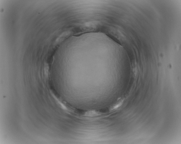 X0000071330231200607212015