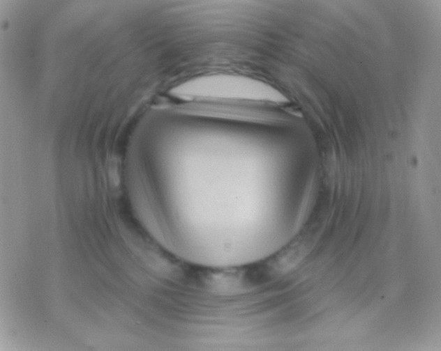 X0000071330232200607212015