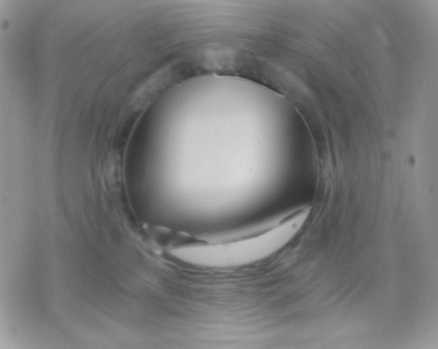 X0000071330233200607212015