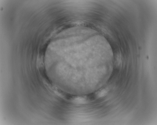 X0000071330236200607212015