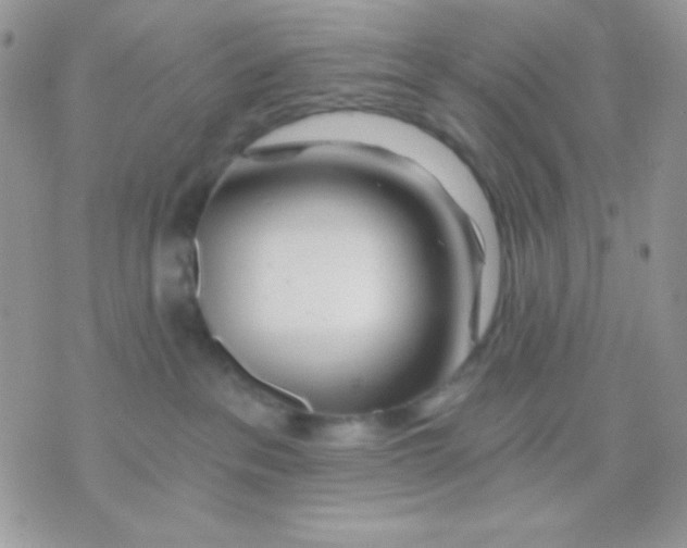 X0000071330237200607212015