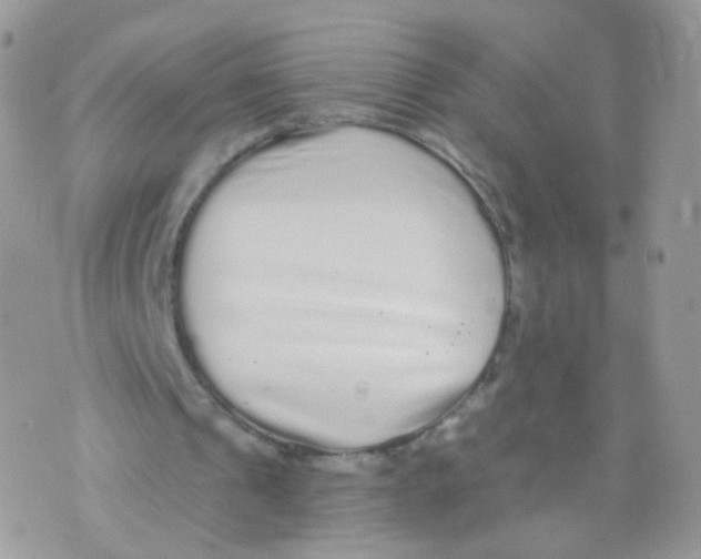 X0000071330241200607212014