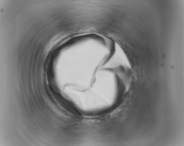 X0000071330242200607212014