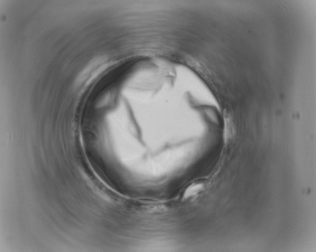 X0000071330243200607212014