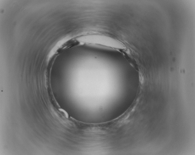 X0000071330244200607212014