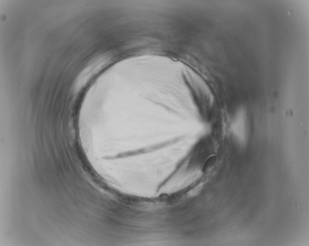 X0000071330245200607212014