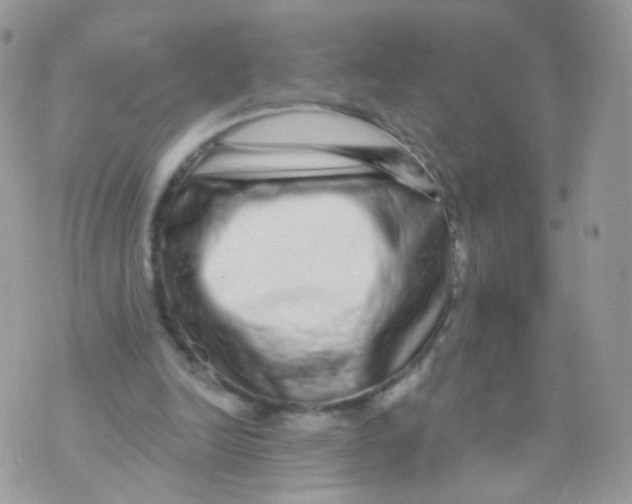 X0000071330246200607212014