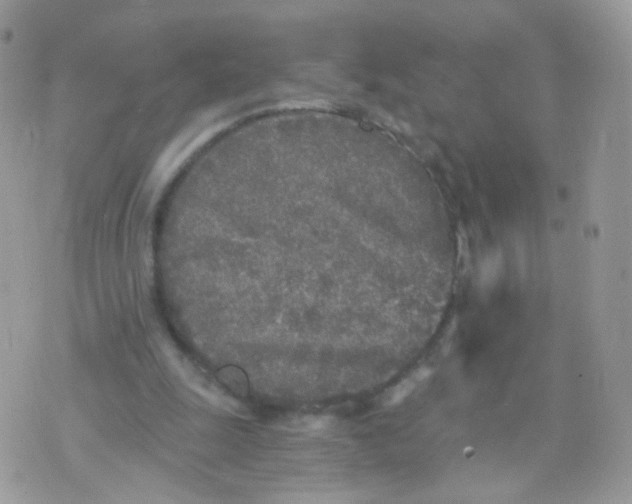 X0000071330247200607212014