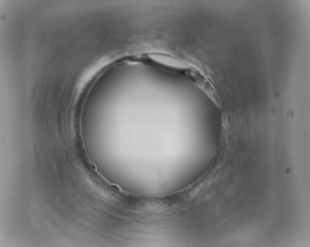 X0000071330248200607212014