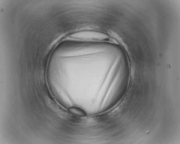 X0000071330249200607212014