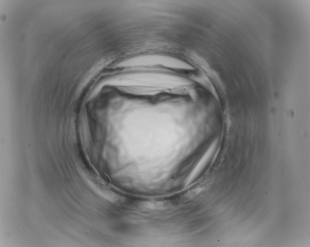 X0000071330250200607212014