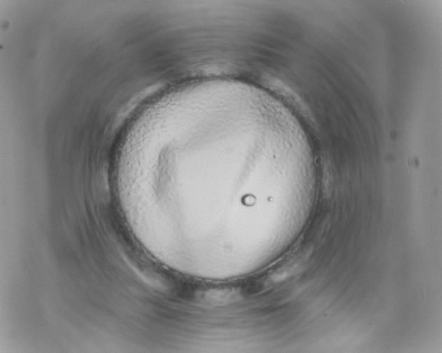 X0000071330251200607212014