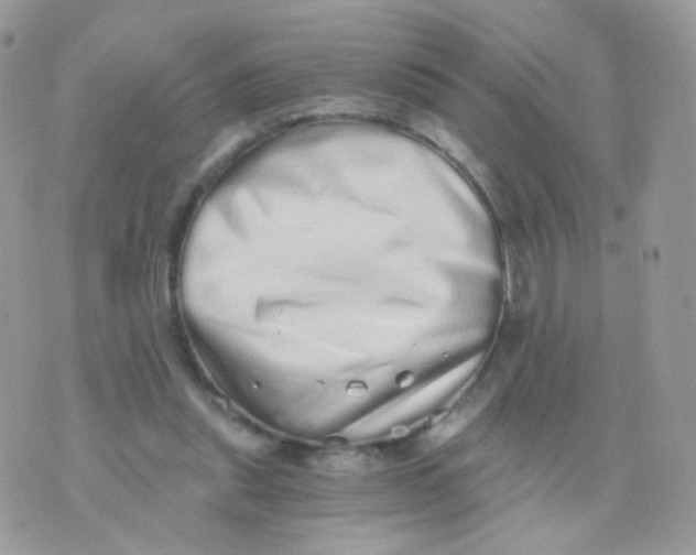 X0000071330253200607212014