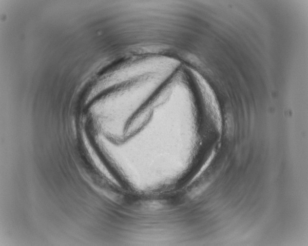 X0000071330254200607212014