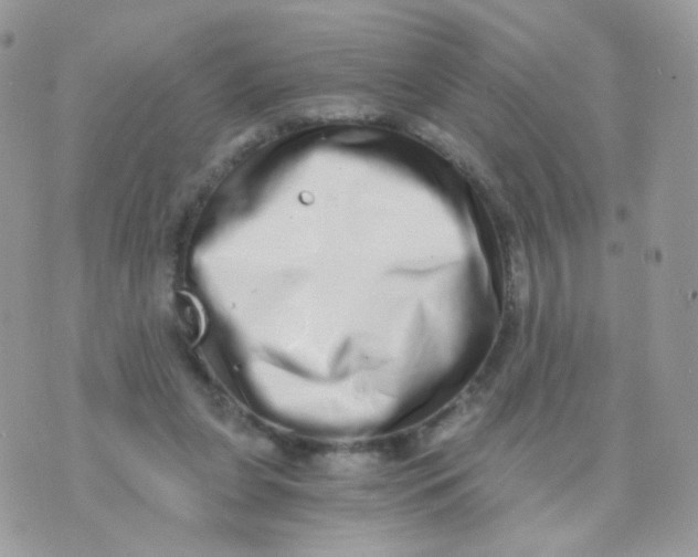 X0000071330255200607212014