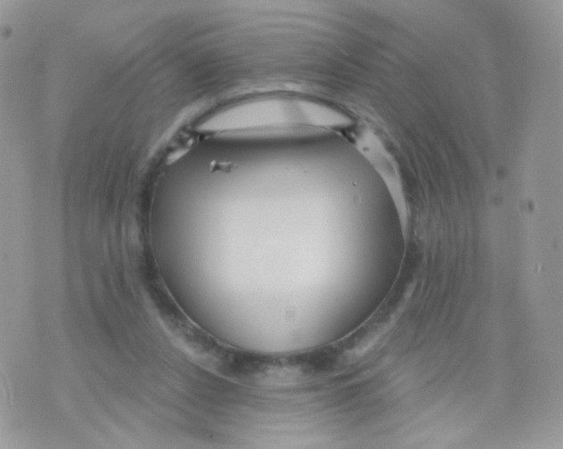 X0000071330256200607212014