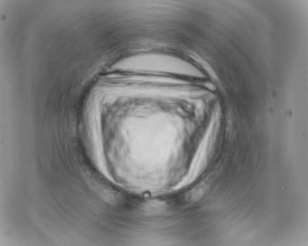 X0000071330257200607212014