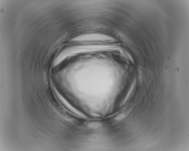 X0000071330258200607212014