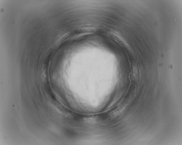 X0000071330259200607212014