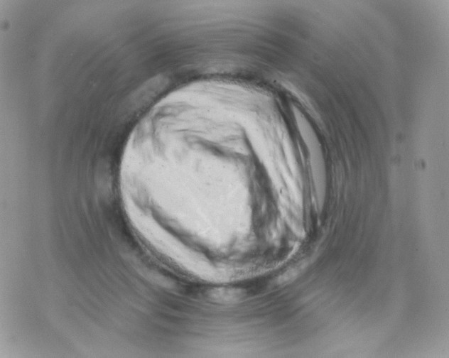 X0000071330261200607212014