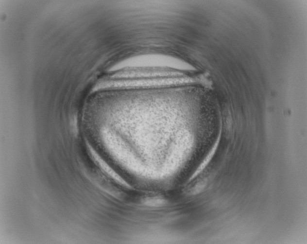 X0000071330262200607212014