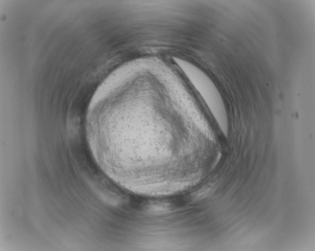 X0000071330263200607212014