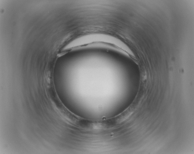 X0000071330264200607212014