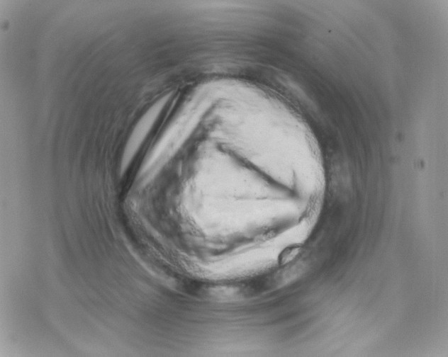 X0000071330265200607212014