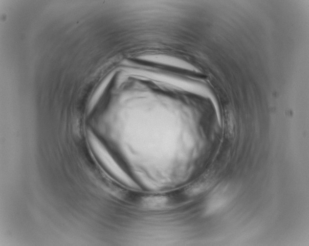 X0000071330266200607212014