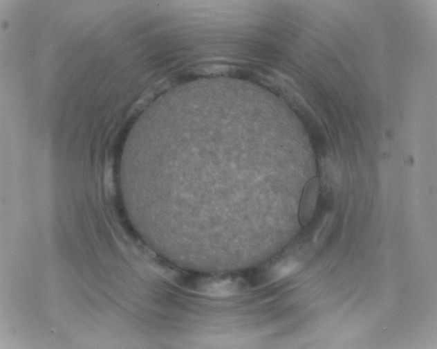 X0000071330267200607212014