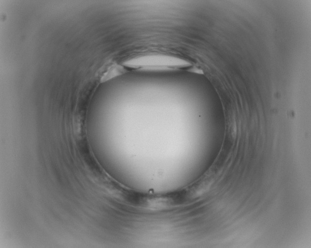 X0000071330268200607212014