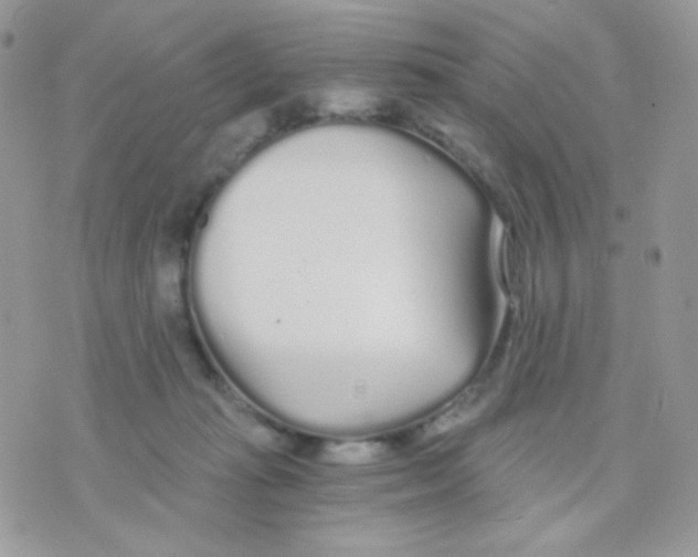 X0000071330269200607212014