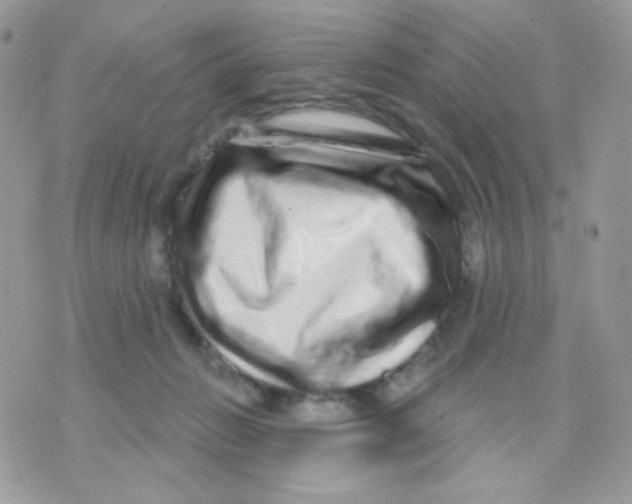 X0000071330270200607212014