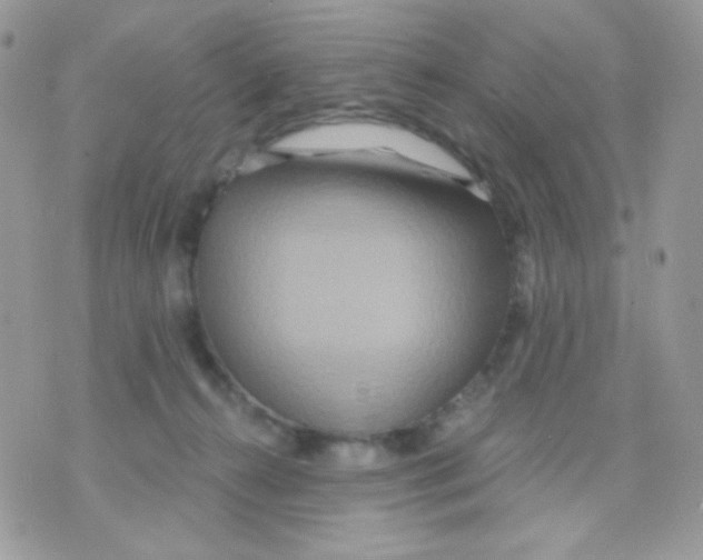 X0000071330272200607212014