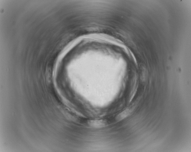 X0000071330273200607212014