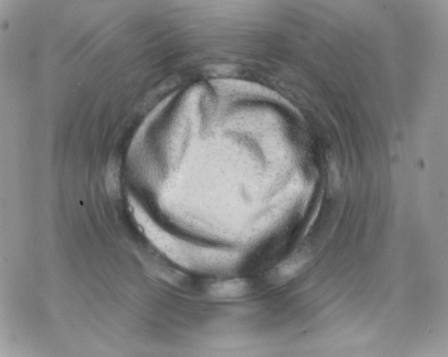 X0000071330274200607212014