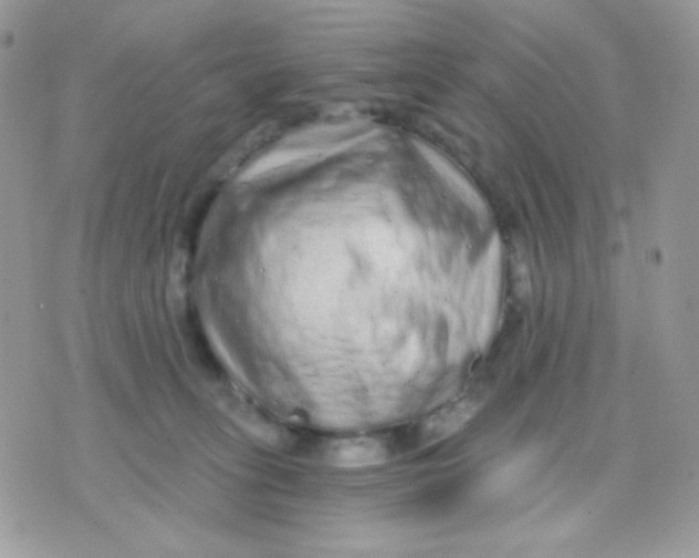 X0000071330275200607212014