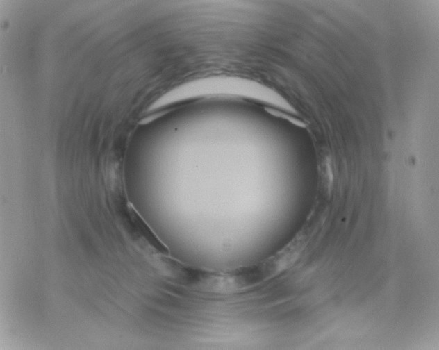 X0000071330276200607212014