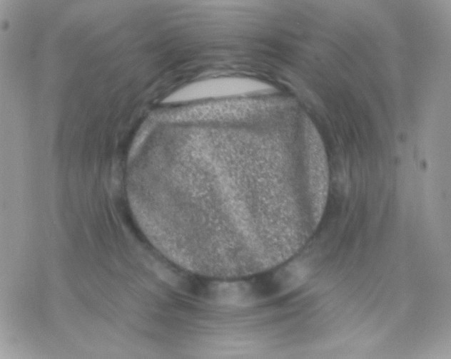 X0000071330277200607212014