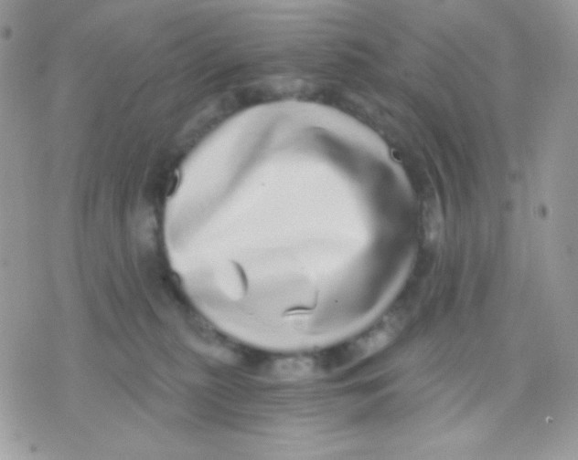 X0000071330279200607212015