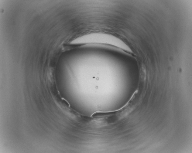 X0000071330280200607212015