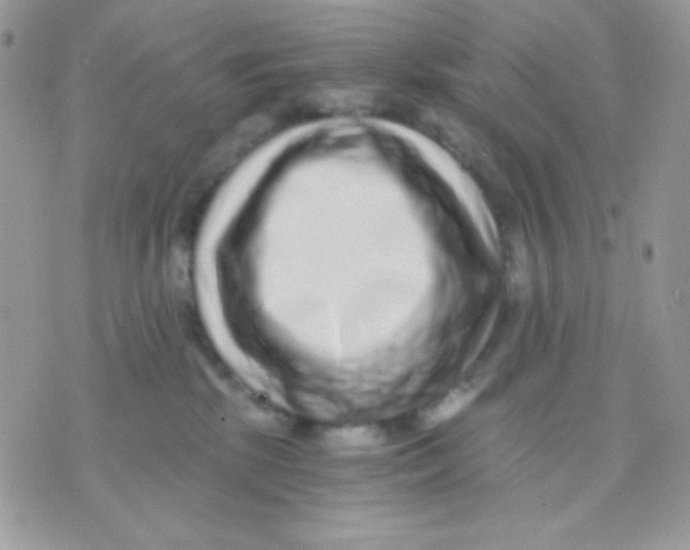 X0000071330281200607212015