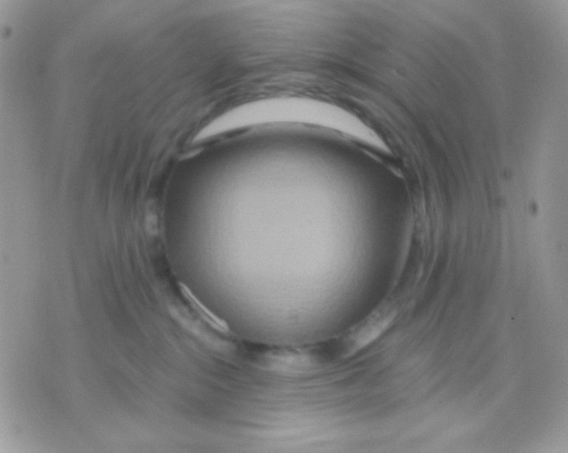 X0000071330284200607212015