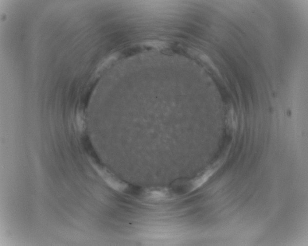 X0000071330285200607212015