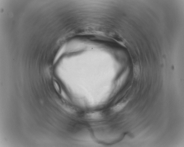 X0000071330286200607212015