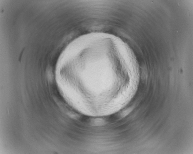 X0000071330287200607212015