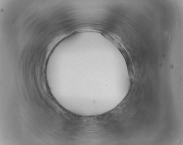 X0000071330289200607212014