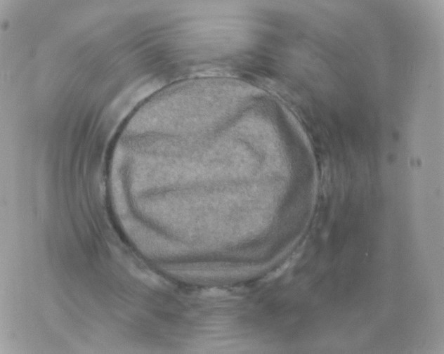 X0000071330290200607212014